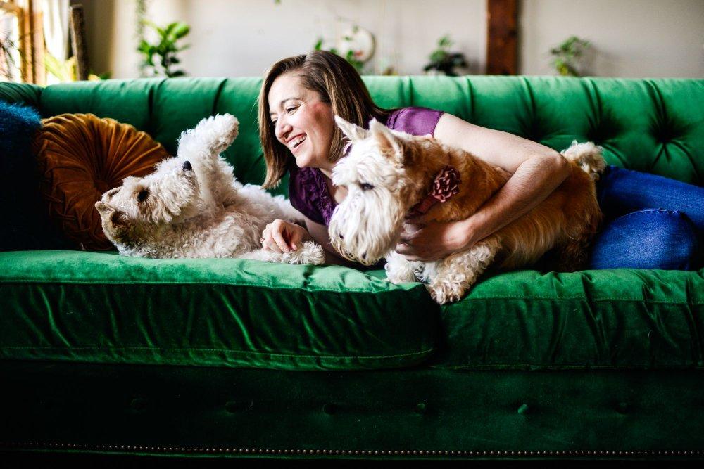 recomment-pack-image-1